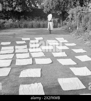 NURSERY FOR WORKING MOTHERS: THE WORK OF FLINT GREEN ROAD NURSERY, BIRMINGHAM, 1942 - Nappies are spread out on the grass to dry after being washed in the gardens of Flint Green Road Nursery. A nurse can be seen in the background. The original caption states that this is the last job for her to do at the end of a busy day Stock Photo