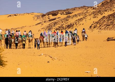 Tourists take a camel train ride through the Sahara desert, on the banks of the River Nile. Aswan. Egypt Stock Photo