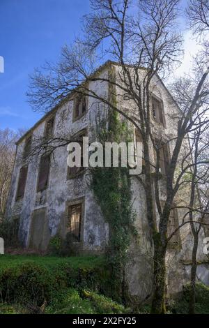 Abandoned and half destroyed house in the middle of the forest vertically Stock Photo