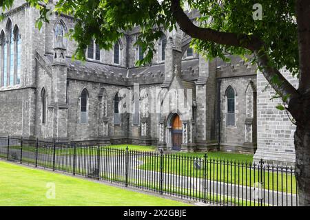 Green grass and black grating near St. Patrick's Cathedral in Dublin, Ireland Stock Photo