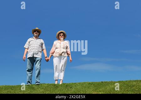 old man and woman in straw hats and sunglasses standing on summer lawn and holding for hands Stock Photo
