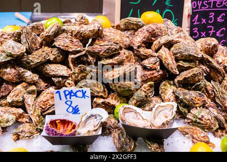Frische Austern, Mercat de la Boqueria, berühmter Markt an den Ramblas in Barcelona, Spanien Barcelona Katalonien Spanien *** Fresh oysters, Mercat de Stock Photo