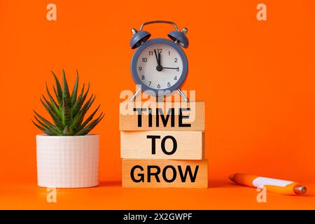Time to Grow symbol. alarm clock and Time to Grow concept word on wooden blocks. Beautiful orange background, succulent, desk,pen, Concept of business Stock Photo
