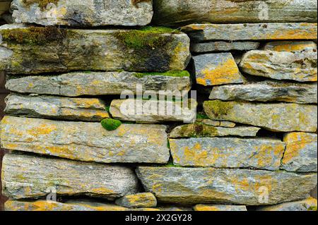 Close-up of an old stone wall with vibrant moss and lichen adding a touch of life. Stock Photo