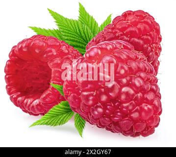 Raspberries with leaves isolated on white background. Stock Photo