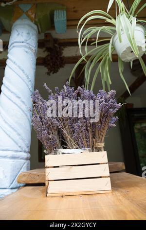 Beautiful blooming lavender in a wooden decorative box. Close-up. Stock Photo