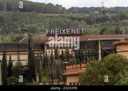 The Freixenet group, to which some wineries like Segura Viudas or Freixenet itself belong, presents a collective redundancy procedure affecting 613 workers. The company, majority-owned by Henkell & Co, becoming the leading group in sparkling wines, has emphasized that this procedure is due to the drought affecting Catalonia. El grupo Freixenet, al cual pertenecen algunas bodegas como Segura Viudas o la misma Freixenet, presenta un expediente de regulación de empleo que afecta a 613 trabajadores. La empresa, mayoritariamente propiedad de Henkell & Co, convirtiéndose en el grupo líder en vinos Stock Photo