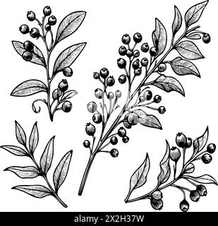 set of three different types of berries, each with their own unique shape and color. The berries are arranged in a way that creates a sense of depth a Stock Vector
