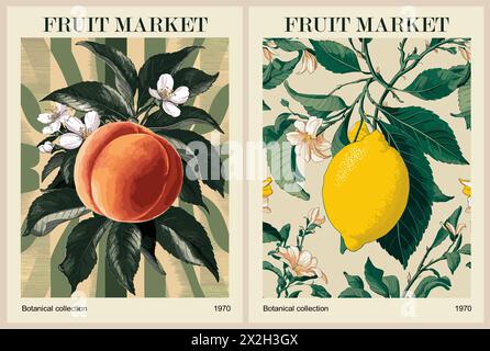 Set of Abstract Fruit Market retro posters.  Stock Vector
