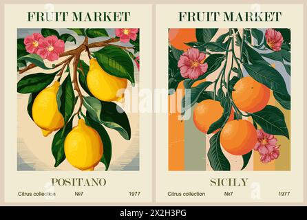 Set of Abstract Fruit Market retro posters.  Stock Vector