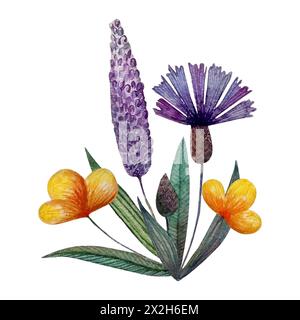 Summer composition bouquet of wildflowers cornflowers isolated Stock Photo