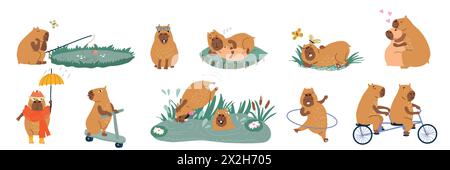 Fluffy copybaras have good time outdoors, fishing or swimming in swamp and sleeping lying on grass Stock Vector