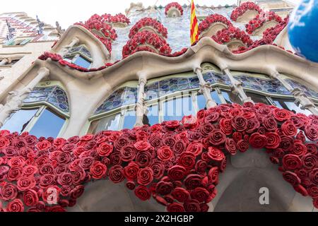 The booksellers and florists have everything ready for a Saint George's Day that, according to forecasts, could be remarkable. The sale of around 7 million roses is expected only in the city of Barcelona, and record book sales. Los libreros y floristas ya tienen todo preparado para un Sant Jordi que, seg&#xfa;n las previsiones, puede ser memorable. Se prevé la venta de unas 7 millones de rosas solo en la ciudad de Barcelona, y ventas récord de libros. News politics -Barcelona, Spain Monday, april 22, 2024 (Photo by Eric Renom/LaPresse) Stock Photo