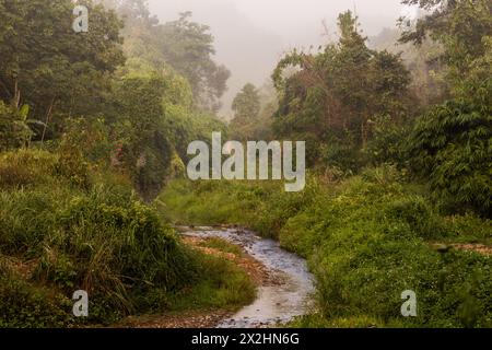 Small stream in Namkhon village near Luang Namtha town, Laos Stock Photo