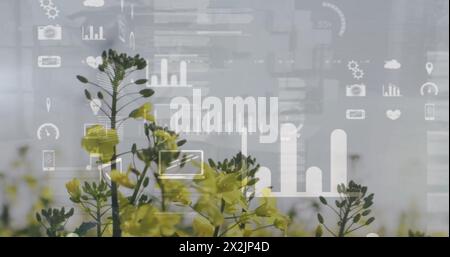 Image of data processing and diagrams over flower field Stock Photo