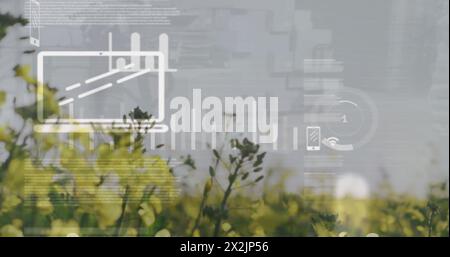 Image of data processing and diagrams over flower field Stock Photo