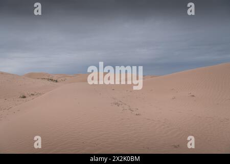 Tengri Desert in the Inner Mongolia Autonomous Region in China. Sunset picture with copy space for text Stock Photo