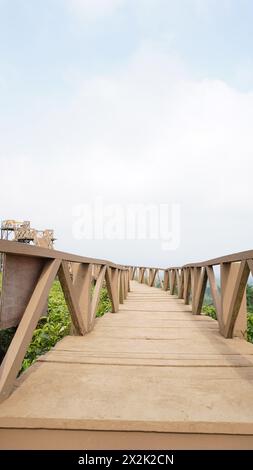 A wooden bridge in the middle of a tea garden in the city of Malang Stock Photo