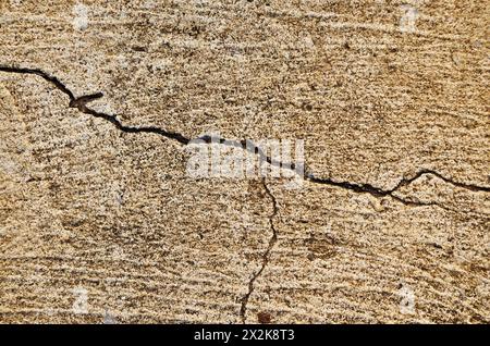 Grunge background of old wood texture, Abstract background Stock Photo