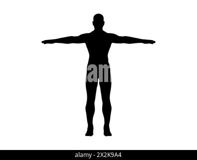 Human body silhouette vector art Stock Vector