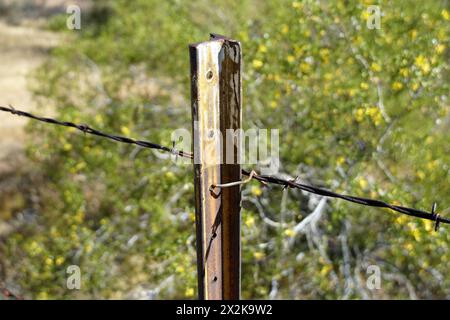 Barbed wire fence Stock Photo