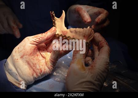 Person holds in hand an example of artificial jaw printed on 3D printer Stock Photo