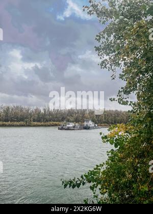 The image captures the serene scene of tugboats navigating the river under a cloudy sky with autumn trees on the shore. Stock Photo