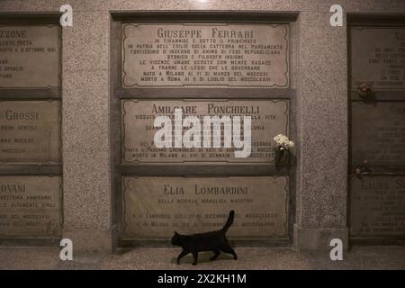 Milan, Italy, December 29, 2020. The graves of the Italian philosopher and politician Giuseppe Ferrari  (1811 - 1876), of the Italian composer and band director Amilcare Ponchielli (1834 - 1886) and of the Italian engineer Elia Lombardini (1794 – 1878) in the crypt of the Famedio del Cimitero Monumental of Milan. ©Isabella De Maddalena/opale.photo Stock Photo