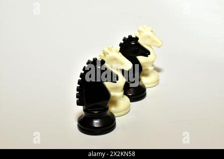 Chess knights, white and black, are placed in a row on a white background. Stock Photo