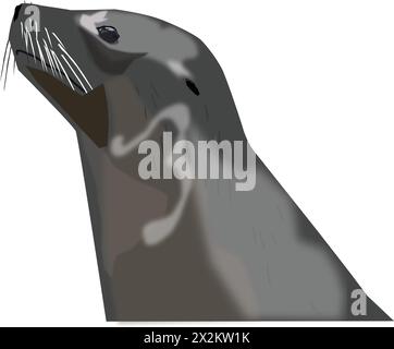 Sea Lion Vector illustration. Stock Vector
