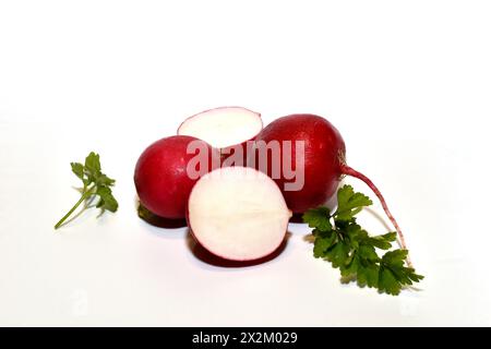 Several ripe red radishes lie on a white background. Stock Photo