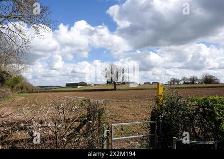 public footpath across a farmers field Stock Photo