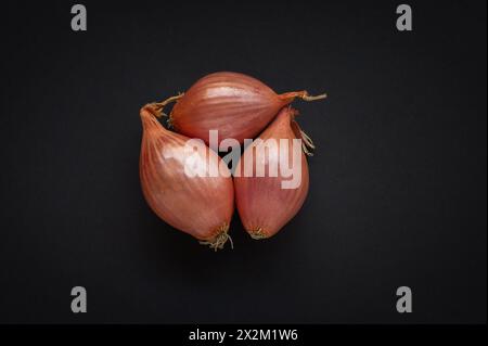 Three whole shallots on black background Stock Photo