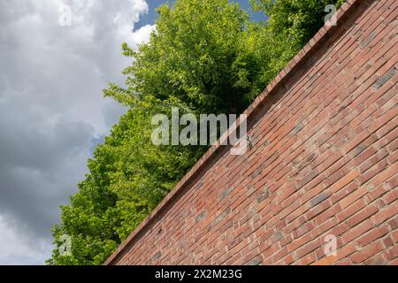 Border Wall With Park And Plants Behind, Secret Garden. Borders And 