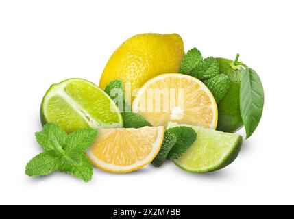 Fresh lime, lemons and mint leaves isolated on white Stock Photo