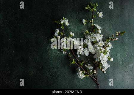 Beautiful cherry blossom branches with delicate white flowers laid out on a textured, dark background, providing a serene and naturalistic table setti Stock Photo