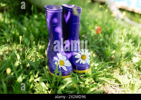 Purple rubber boots with daisy flowers in luscious green grass suggesting springtime Stock Photo