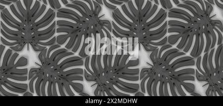 Leaves monstera of wood material on white background. High quality seamless realistic texture. Stock Photo