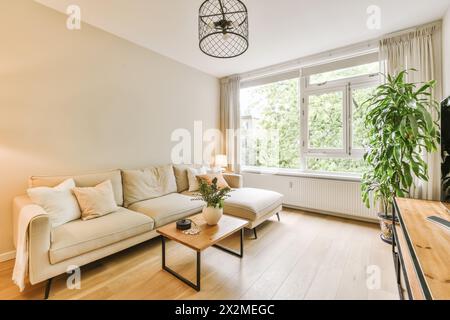A modern living room featuring a comfortable light-colored couch, wooden coffee table, and greenery by the window, bathed in natural light. Stock Photo