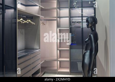 Modern luxury wardrobe and female mannequin. Interior Stock Photo