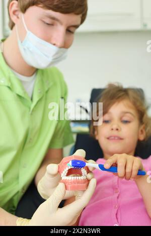 Dentist shows to patient girl how to correctly brush teeth. For clarity, doctor uses an artificial jaw. Focus on jaw. Stock Photo