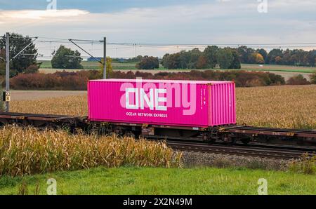 ONE Ocean network express logo Stock Photo - Alamy