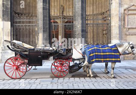 Two horse in cape with open cart on pavement street in Vienna, Austria Stock Photo