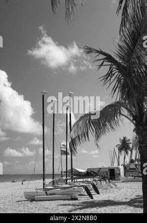 Stock Photo of Row of Sailboats Lined Up Along Beach on Sunny Day in Ft Lauderdale Florida USA Stock Photo