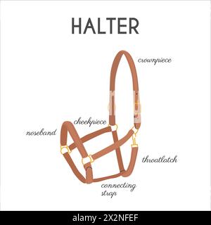 Horse Halter Parts. Infographic banner with detailed names. Stable equipment. Equestrian leather tack. Equine sports informational educational poster Stock Vector