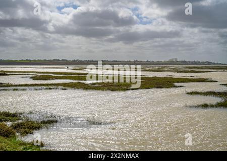 High spring tide at Bonner's Saltings near The Strood Mersea Island Essex Stock Photo