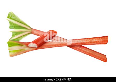Fresh rhubarb isolated on white background Stock Photo