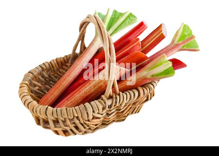 Fresh rhubarb and basket isolated on white background Stock Photo