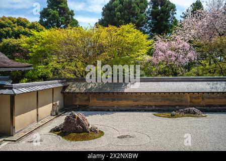 Cherry blossom at the rock garden, aka zen garden or karesansui, of Ryoanji Temple in Kyoto, Japan Stock Photo