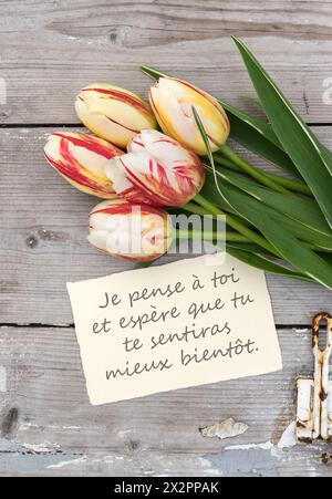 A tulip with a get well soon card Stock Photo - Alamy